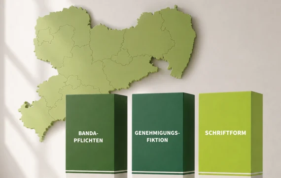 Eine Grafik, auf der mehrere Säulen und die Umrisse des Freistaates Sachsen zu sehen sind. Die Säulen sind benannt: BANDA-PFLICHTEN, GENEHMIGUNGS-FIKTION, SCHRIFTFORM