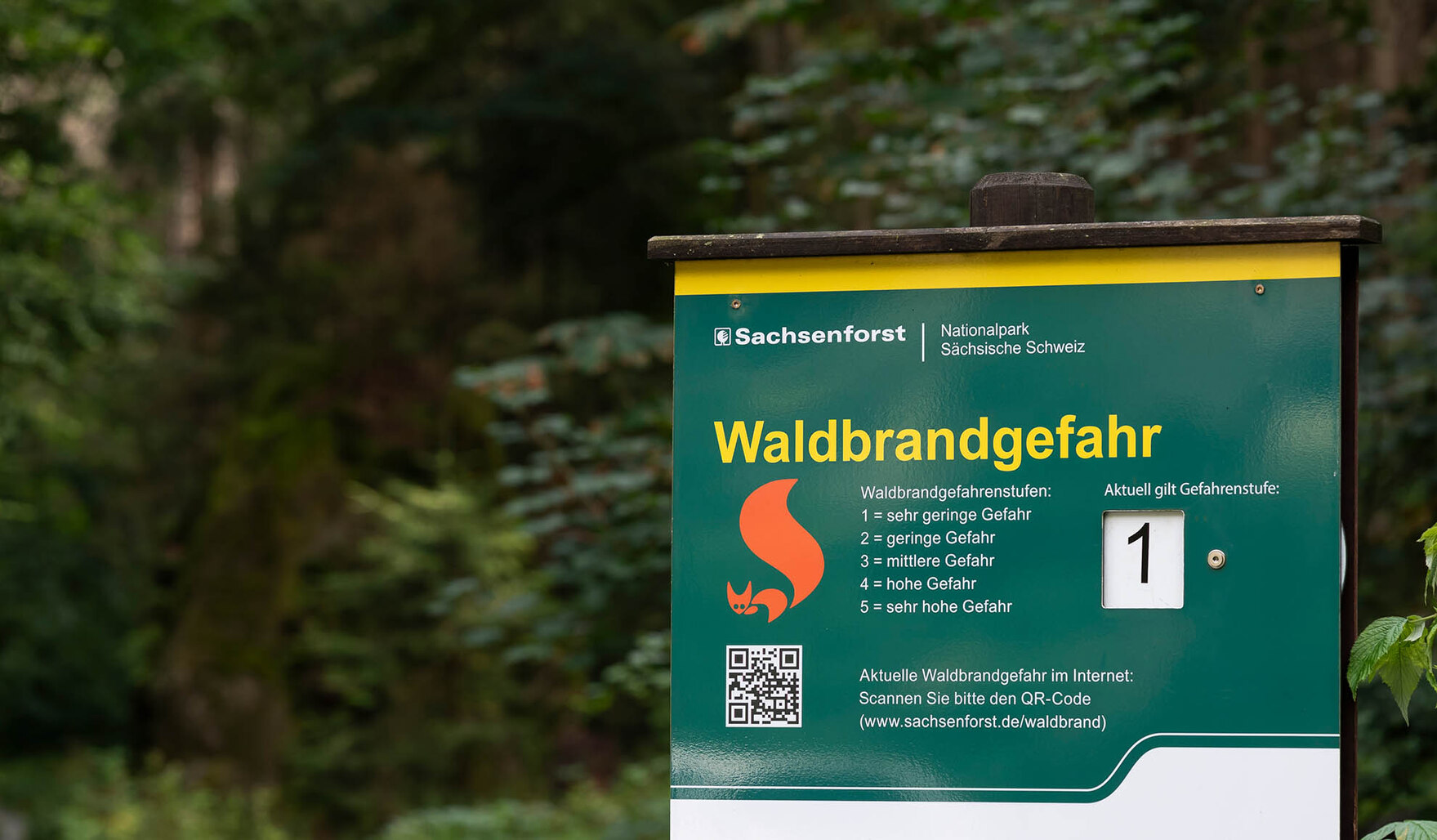 Ein Waldbrandwarnschild des Sachsenforst mit der Stufe 1.