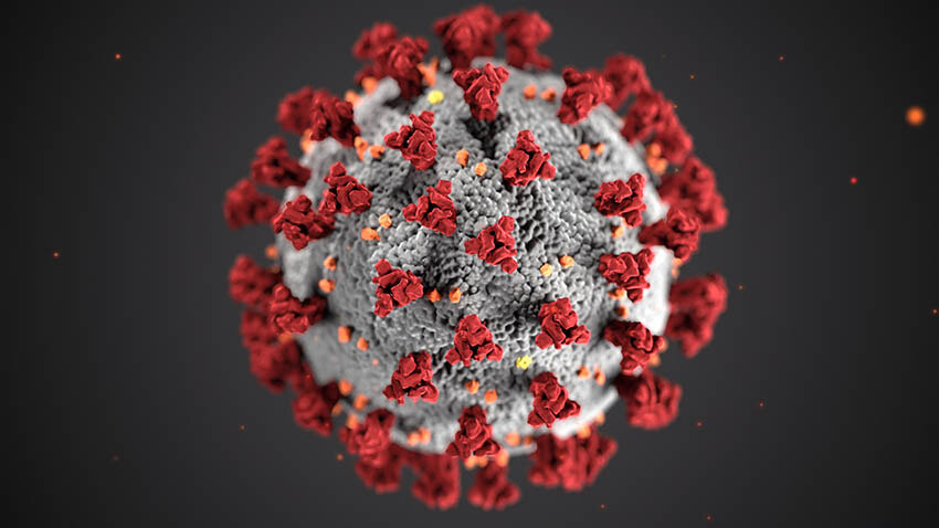 Ein Coronavirus in der Animation.