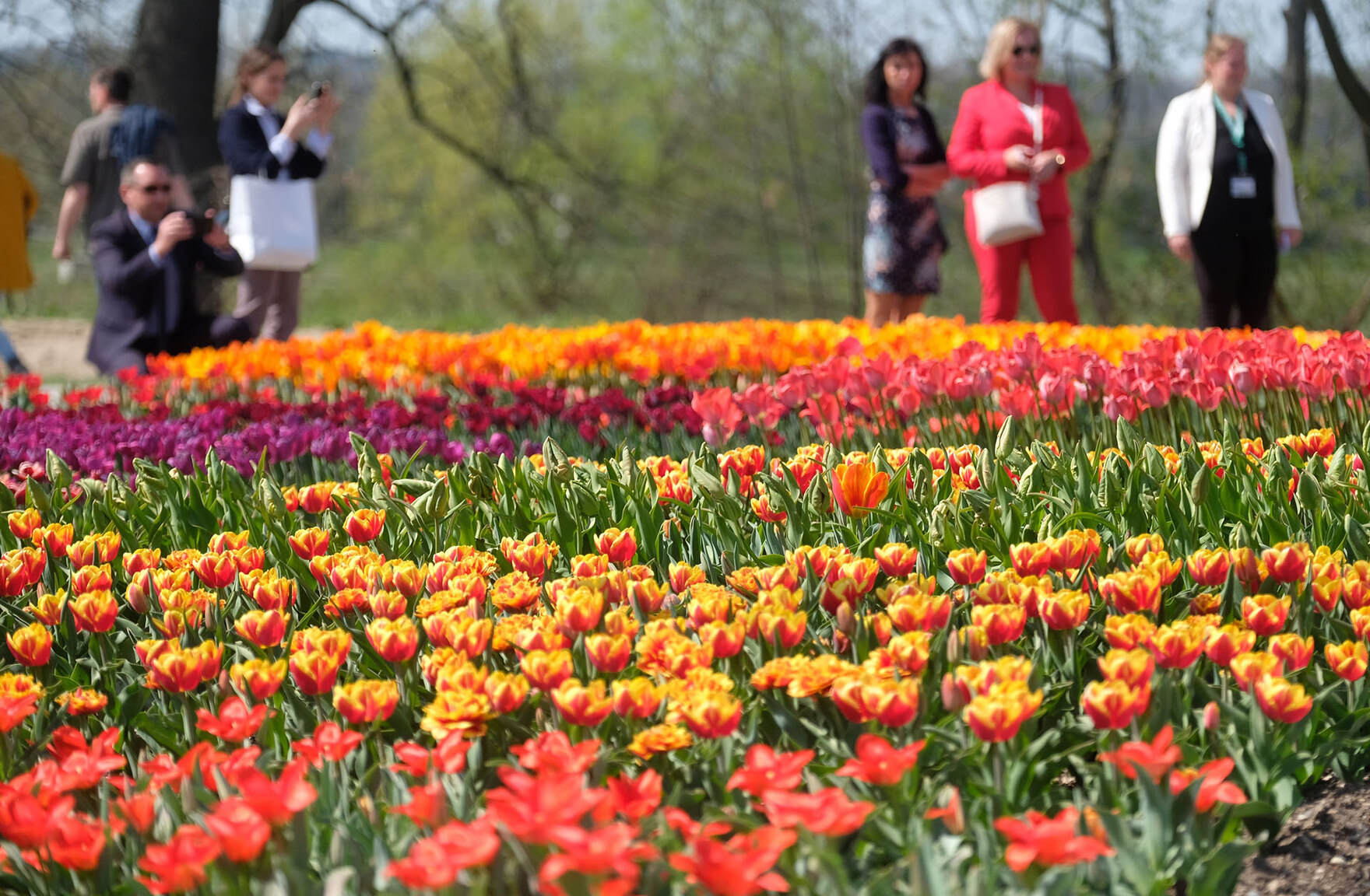 Eine Blumenwiese, die von Personen im Hintergrund fotografiert wird.